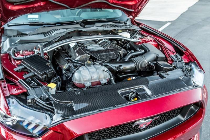 Full Carbon Fiber Radiator Cooling Plate Cover for 2015-2017 Ford Mustang 