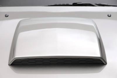 3D Carbon - 05 - 09 MUSTANG - Hood Scoop II