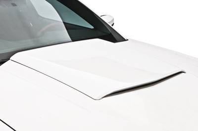 3D Carbon - 10 - 14 MUSTANG - Hood Scoop (Factory Style 2010)