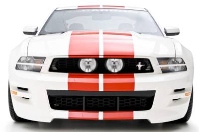 3D Carbon - 10 - 14 MUSTANG - GT "E" Style Grille (Fits GT Models Only)