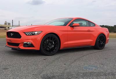 Steeda Autosports - 15 Mustang Steeda Sport Springs - Coupe (15 EcoBoost)