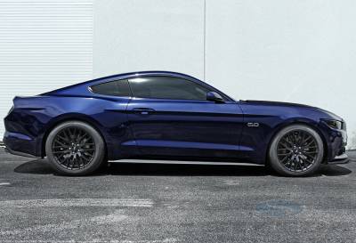 Steeda Autosports - 15 Mustang Steeda Sport Springs - Progressive (15 GT/V6 Coupe)