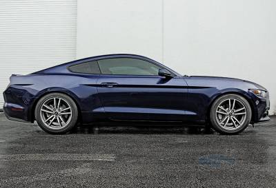 Steeda Autosports - 15 Mustang Steeda Sport Springs - Progressive (15 EcoBoost)