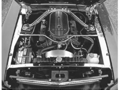 Scott Drake - 69-70 Mustang Underhood Stainless Trim