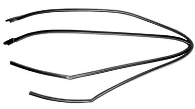 Dynacorn | Mustang Parts - 71-73 Mustang Roof Rail Seal Coupe/Fastback