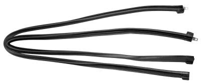 Dynacorn | Mustang Parts - 67-68 Mustang Roof Rail Seal
