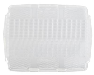 Daniel Carpenter Mustang Parts - 65 - 66 Mustang Clear Tail Light Lens