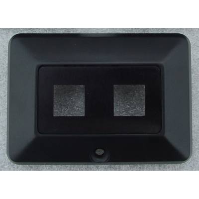 Daniel Carpenter Mustang Parts - 82 - 86 Mustang Double Switch Cover Plate