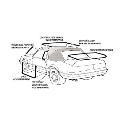 Daniel Carpenter Mustang Parts - 83 - 86 Mustang Convertible Pillar Post LH