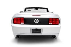 3D Carbon - 05 - 09 MUSTANG - Rear Tail Light Blackout Panel - Image 2