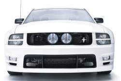 3D Carbon - 05 - 09 Mustang Front Upper Grille for Center Fog Lights - Image 2