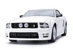 3D Carbon - 05 - 09 Mustang Front Upper Grille for Center Fog Lights - Image 3
