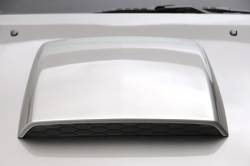 3D Carbon - 05 - 09 MUSTANG - Hood Scoop II - Image 1