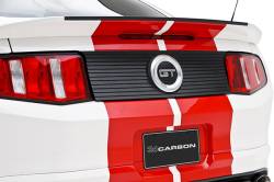 3D Carbon - 10 - 14 MUSTANG - Blackout Panel - Image 3