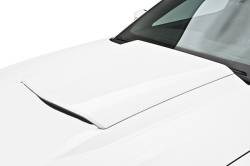 3D Carbon - 10 - 14 MUSTANG - Hood Scoop (Factory Style 2010) - Image 2