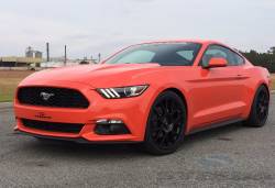 Steeda Autosports - 15 Mustang Steeda Sport Springs - Coupe (15 EcoBoost) - Image 4