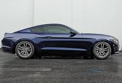 15 Mustang Steeda Sport Springs - Progressive (15 EcoBoost)