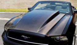 10 - 13 Mustang GT500 Carbon Fiber Hood