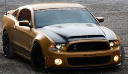 10 - 13 Mustang GT500 Carbon Fiber Hood