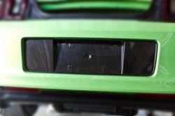 Carbon Fiber - Trunk & Related - TruFiber - 2013 Mustang Carbon Fiber License Plate Panel