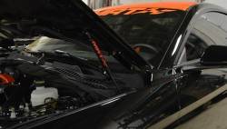 MRT - 2015+ Mustang MRT No-Drill Hood Struts-Black Carbon Fiber - Image 7