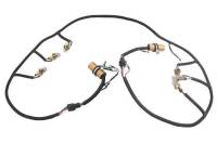 Electrical & Lighting - Wire Harnesses - Tail Light