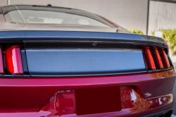 15 - 19 Mustang Carbon Fiber LG245 Blackout Panel