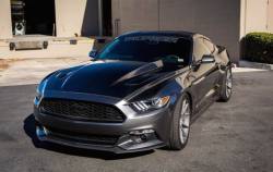 2015 - 2016 Mustang Carbon Fiber A49-3 Hood