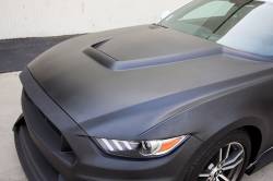 Anderson Composites Mustang Parts - 2015 - 2016 MUSTANG GT350 Fiberglass Hood - Image 2