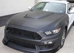 Anderson Composites Mustang Parts - 2015 - 2016 MUSTANG GT350 Fiberglass Hood - Image 4