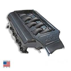 NXT-GENERATION - 05 -10 Mustang GT Plenum Cover, Hydrocarbon Finish - Image 1