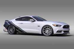 Universal Mustang Vinyl Graphics - Rally Stripe