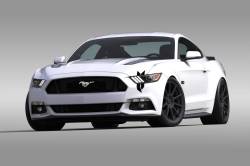 Universal Mustang Vinyl Graphics - Battle Scar