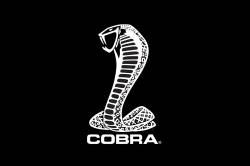 Fender Gripper - Universal Original Fender Gripper - Cobra Snake - Image 2