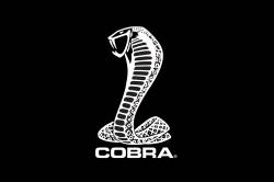 Fender Gripper - Mustang Fender Gripper Trunk Mat, Cobra Snake Logo - Image 3