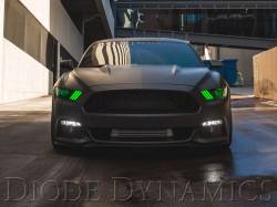 Diode Dynamics Lighting - 2015 - 2017 Ford Mustang Multicolor DRL LED Boards - Image 6