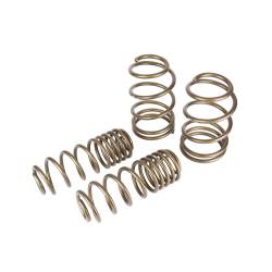 Coil Spring - Performance - Miscellaneous - 2005 - 2010 Mustang Hurst Stage 1 Performance Spring Kit