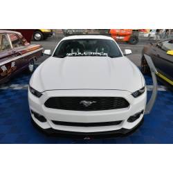 APR Performance - 2015 - 2017 Mustang NPP Carbon Fiber Front Splitter - Image 4