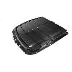 APR Performance - 2020 - 2022 Mustang Shelby GT-500 Carbon Fiber Hood Vents, Functional - Image 4