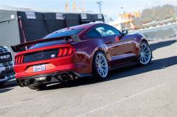 Anderson Composites Mustang Parts - 2015 - 2023 Mustang Shelby Carbon Fiber Rear Spoiler, Low Profile - Image 10