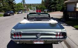 Love The Drive - 64 - 68 Mustang Convertible Wind Deflector Kit - Image 14